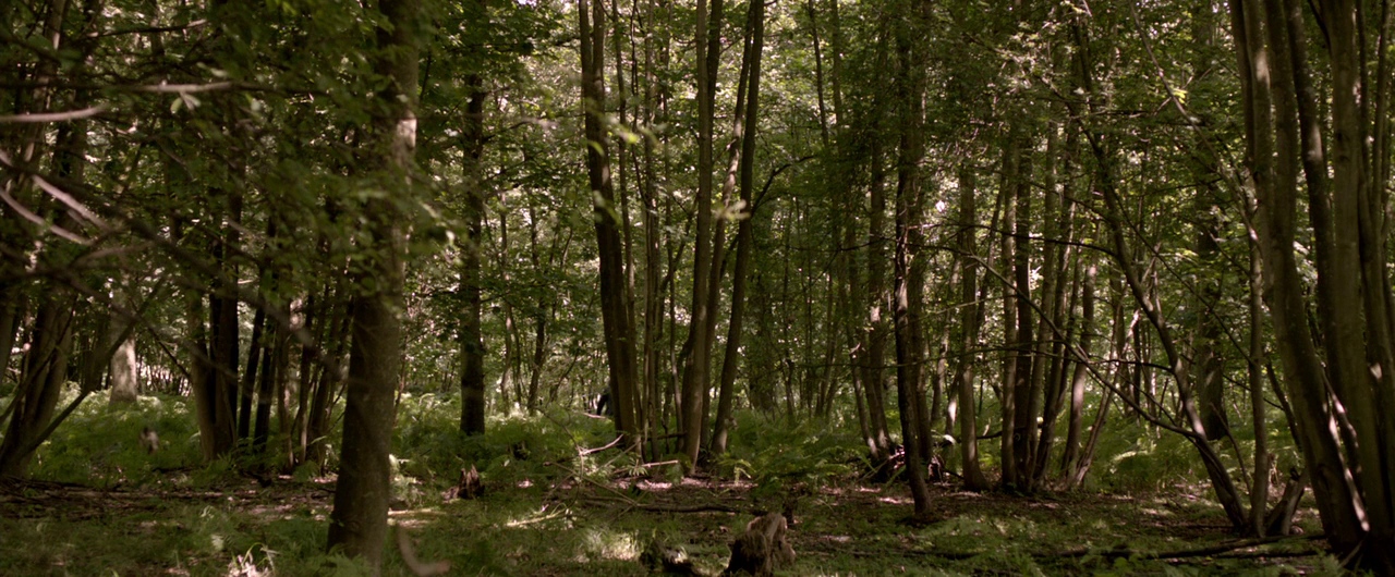 Borgman