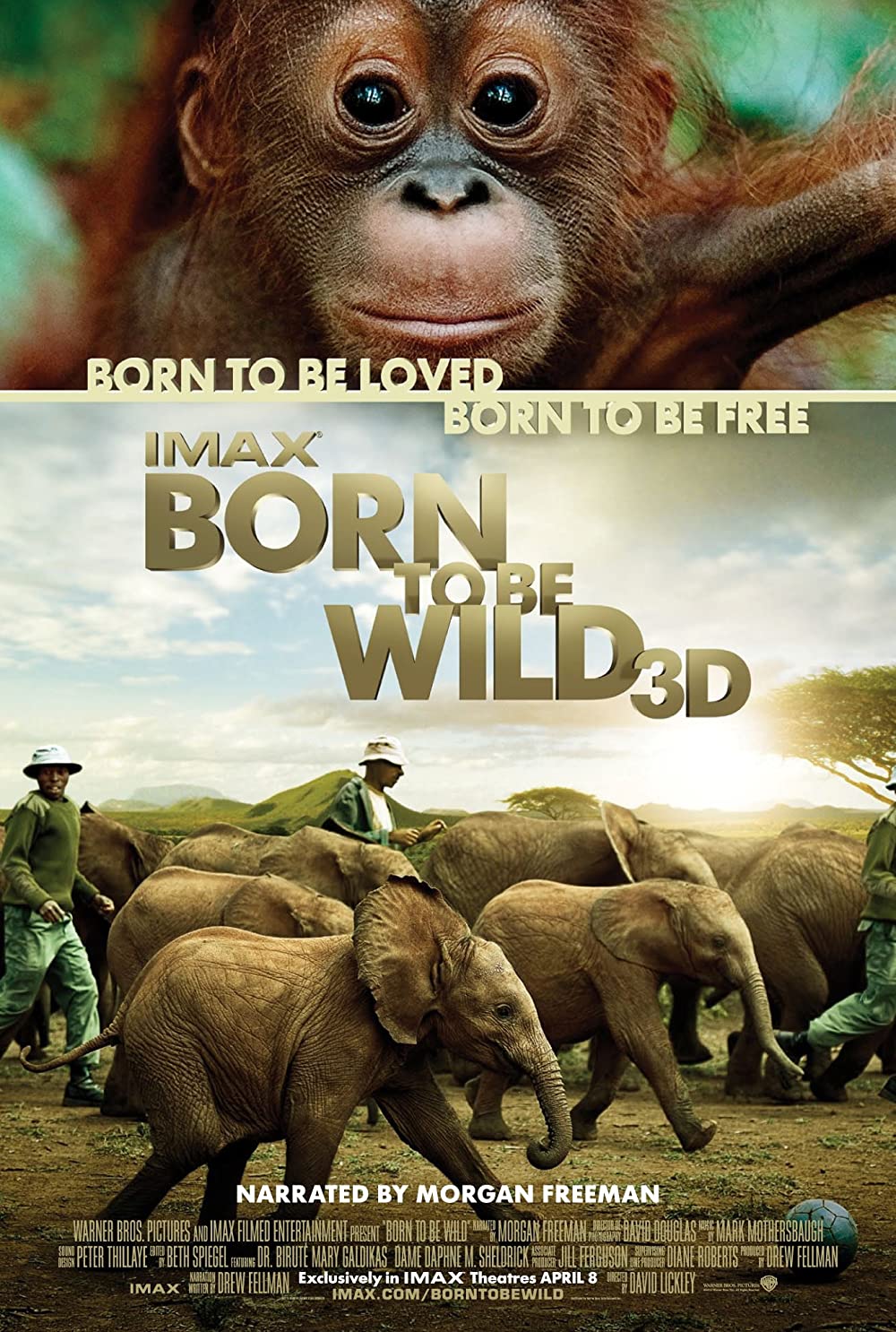 Filmbeschreibung zu Born to be Wild 3D