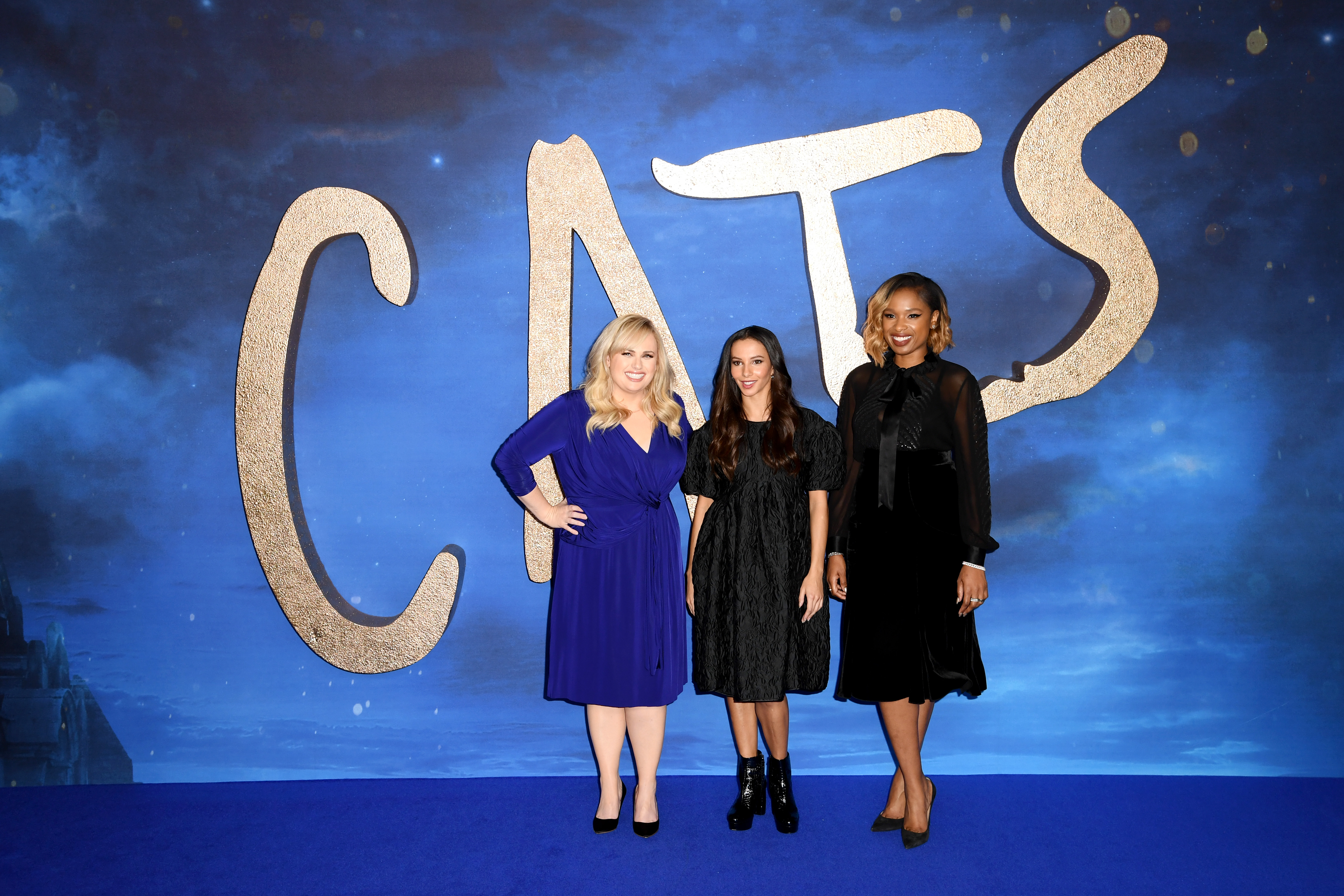 Cats