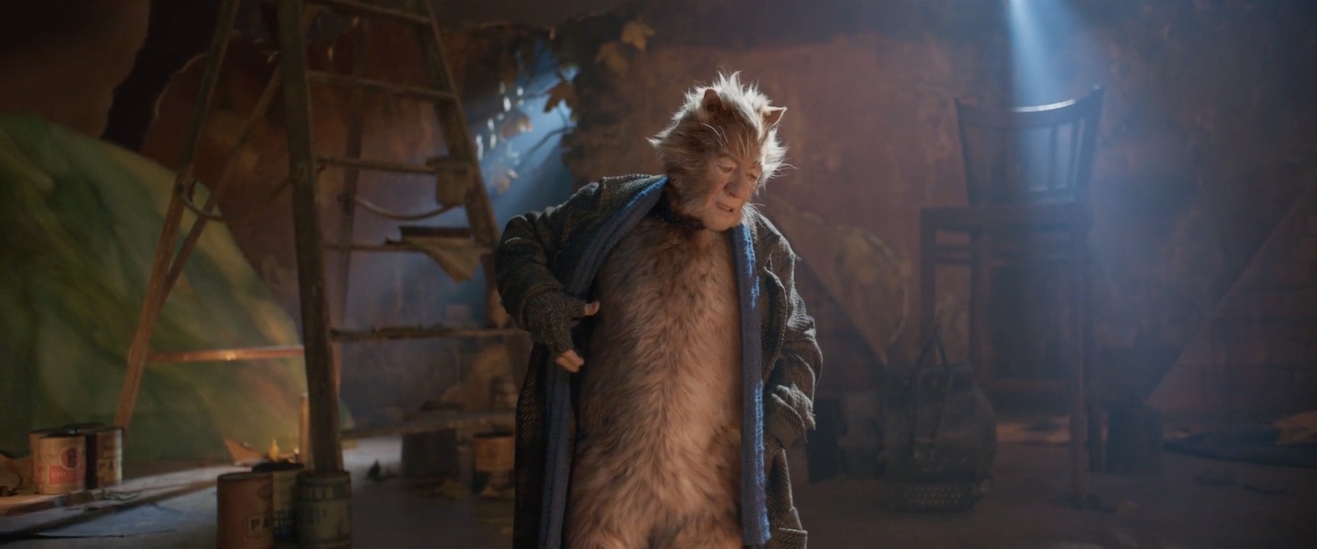 Cats
