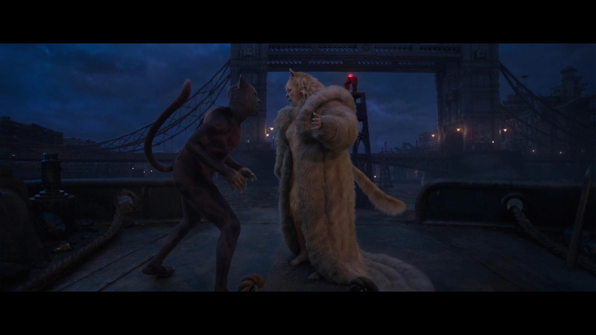 Cats