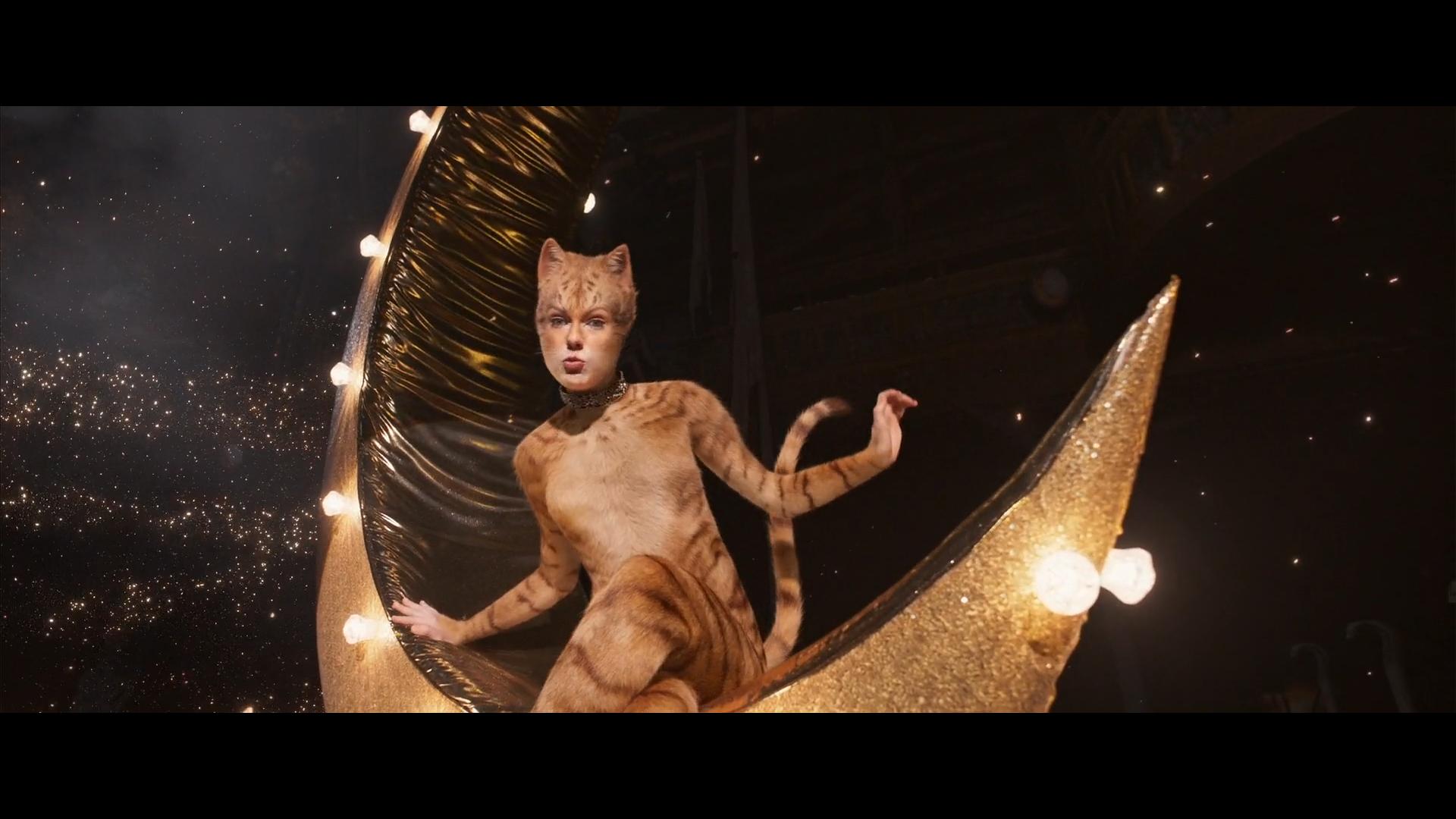 Cats