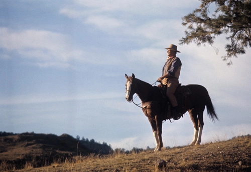Chisum