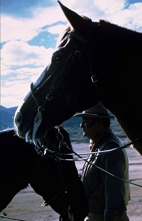 Chisum