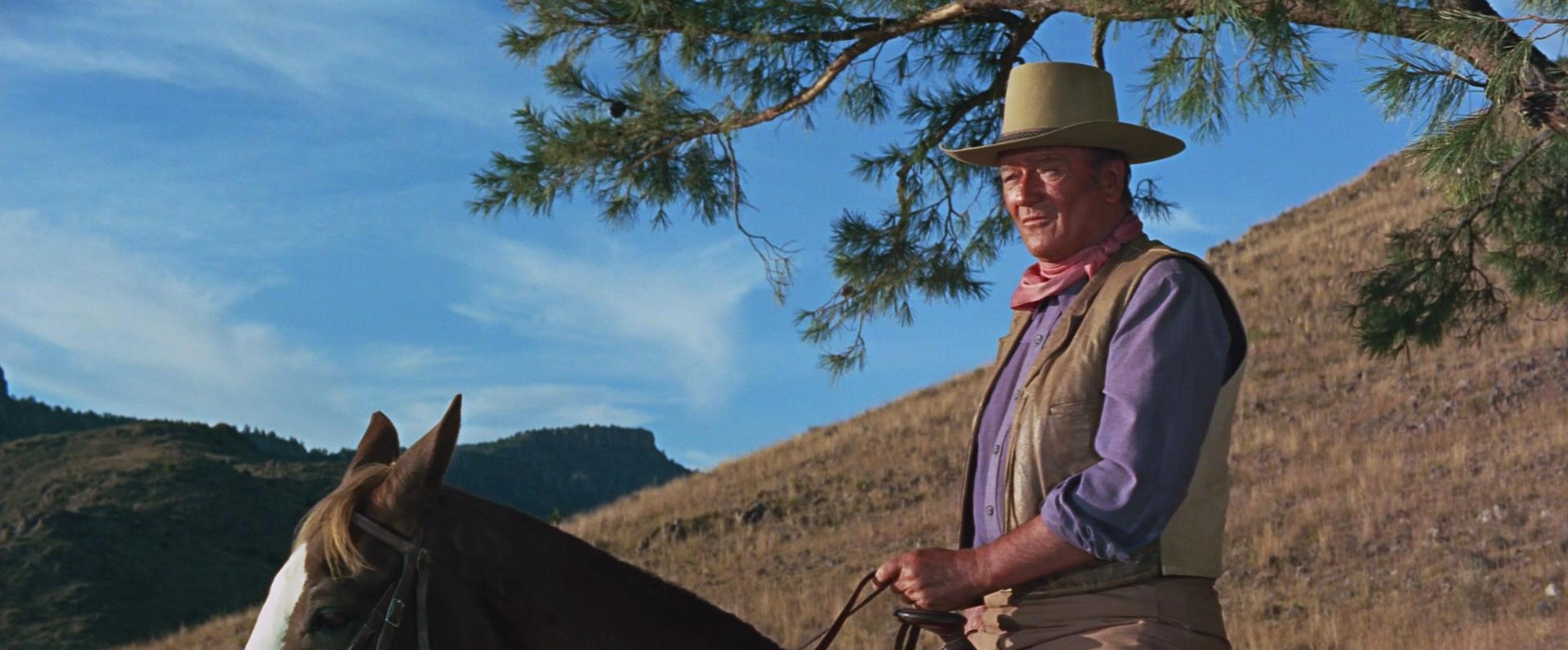 Chisum