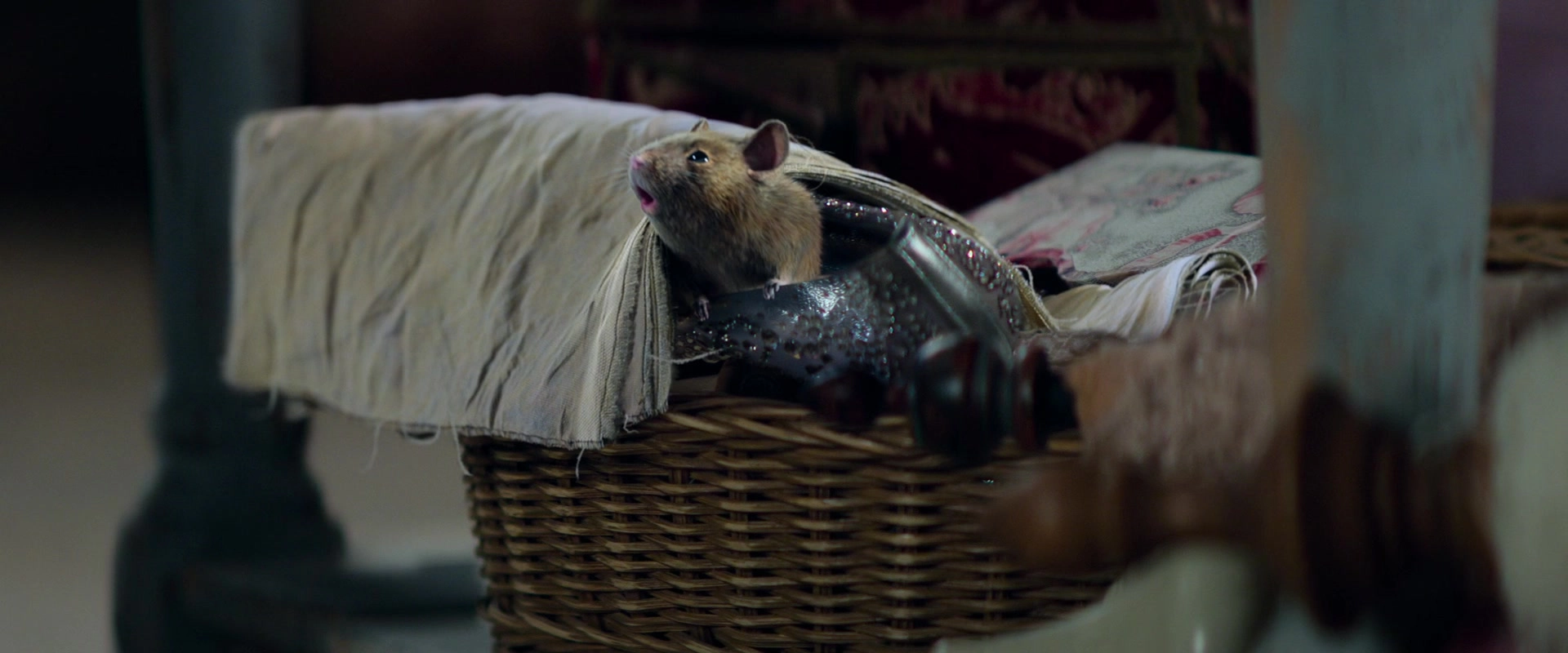 Cinderella (2021)