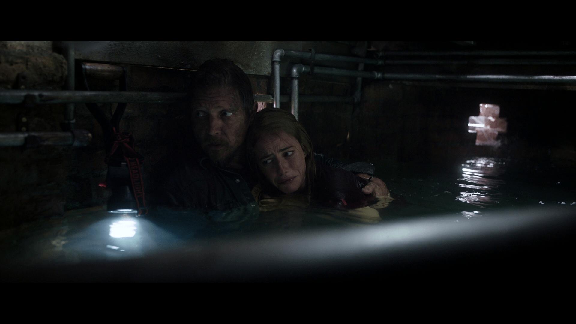Crawl