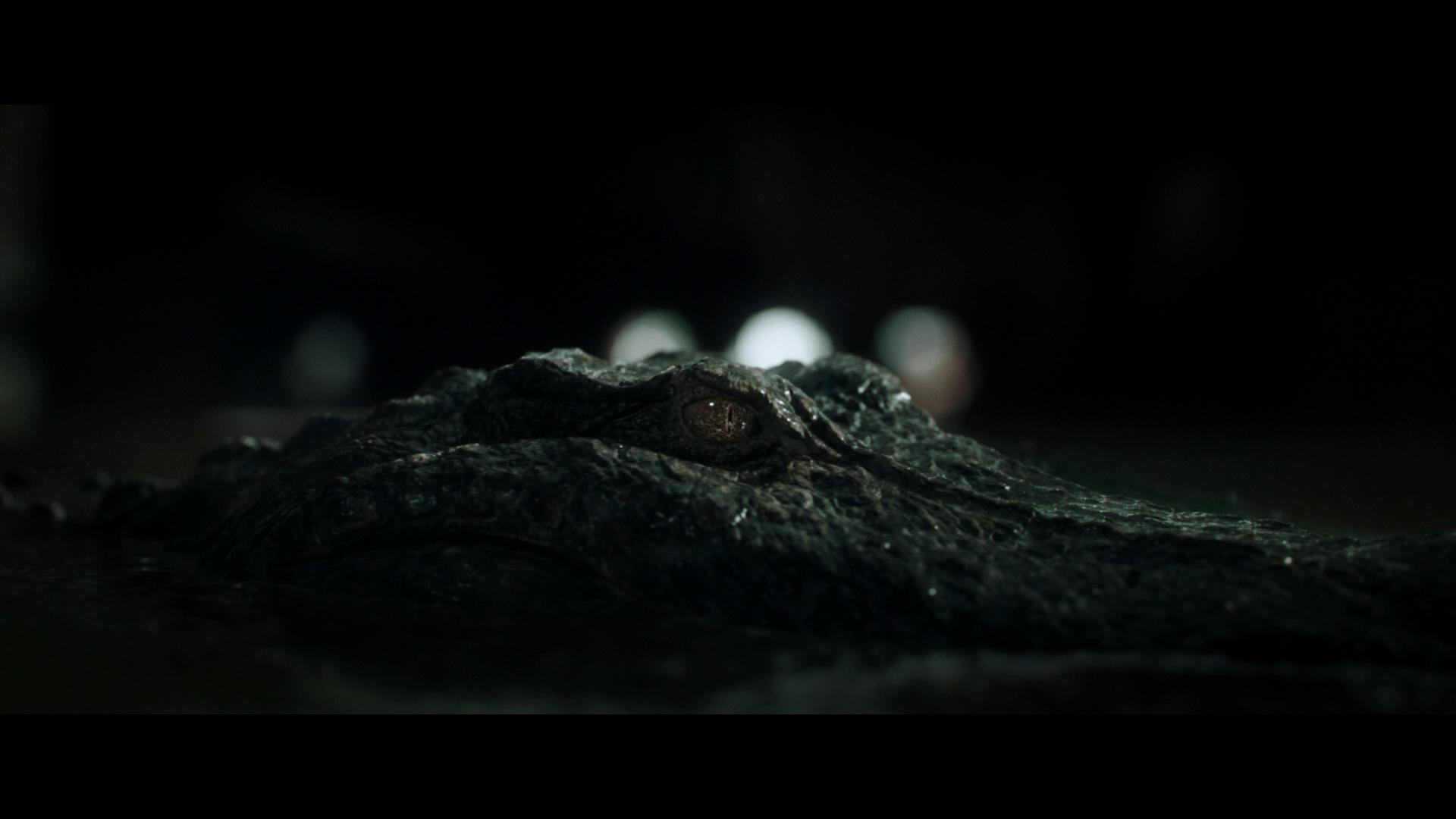 Crawl