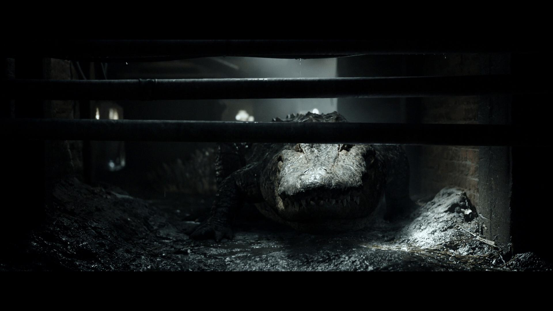 Crawl