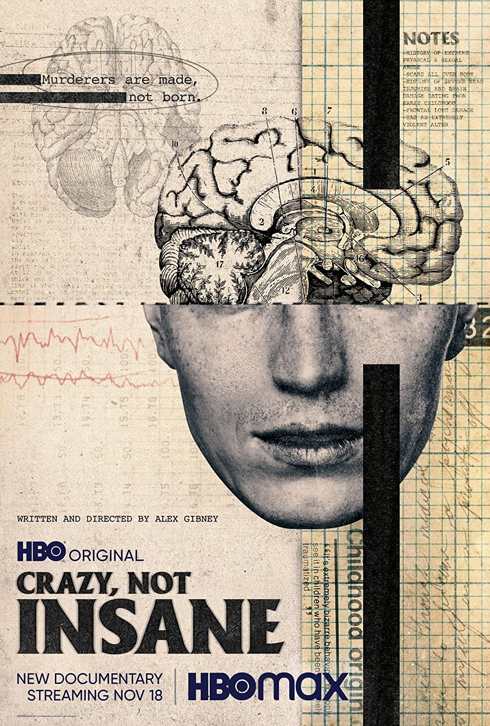 Filmbeschreibung zu Crazy, Not Insane