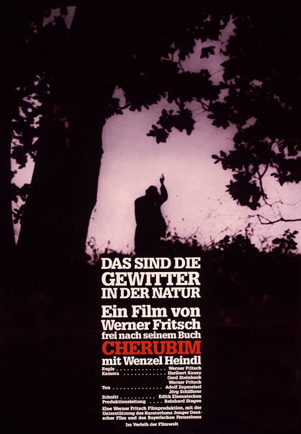 Filmbeschreibung zu Das sind die Gewitter in der Natur