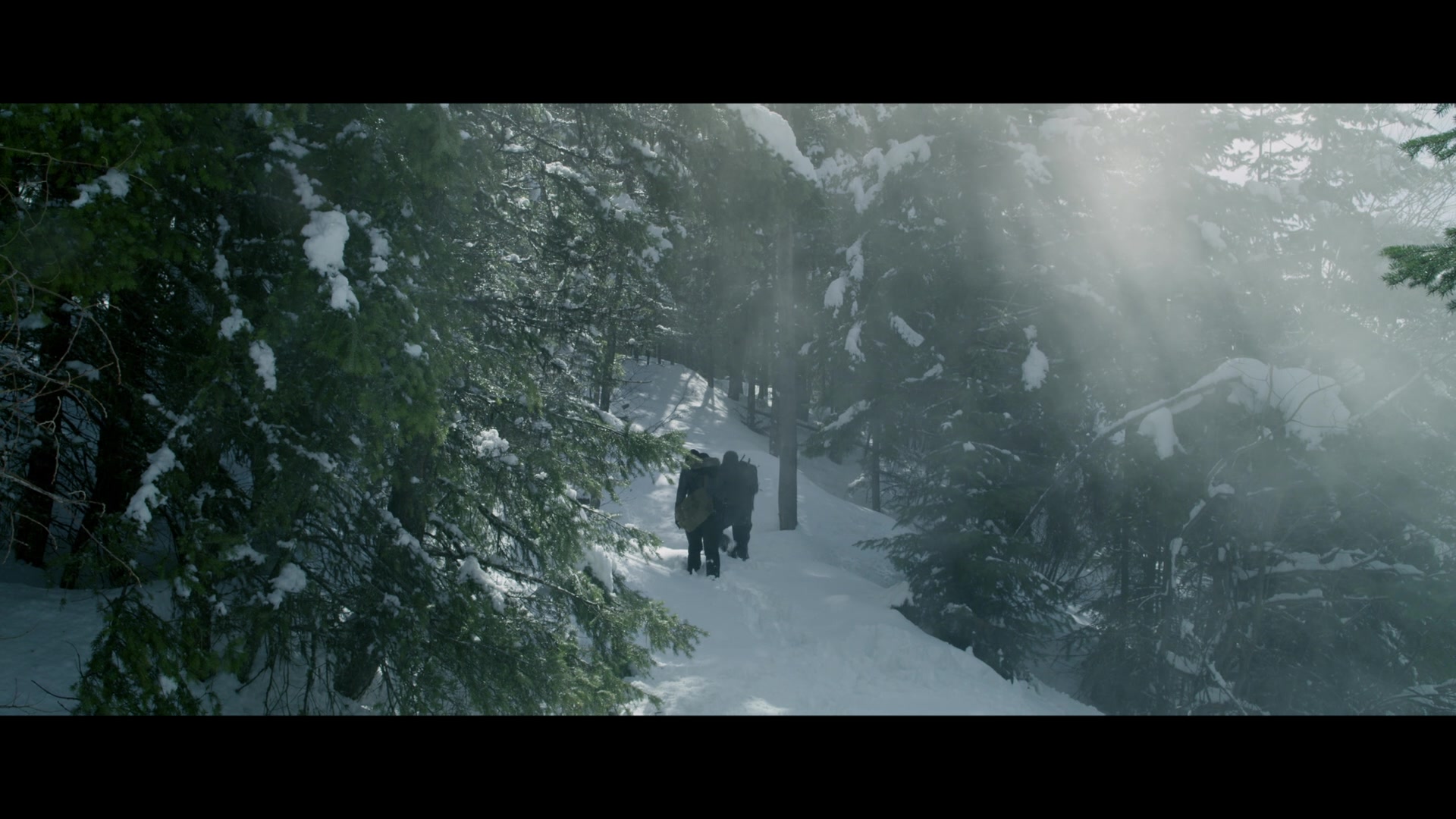 Daughter of the Wolf