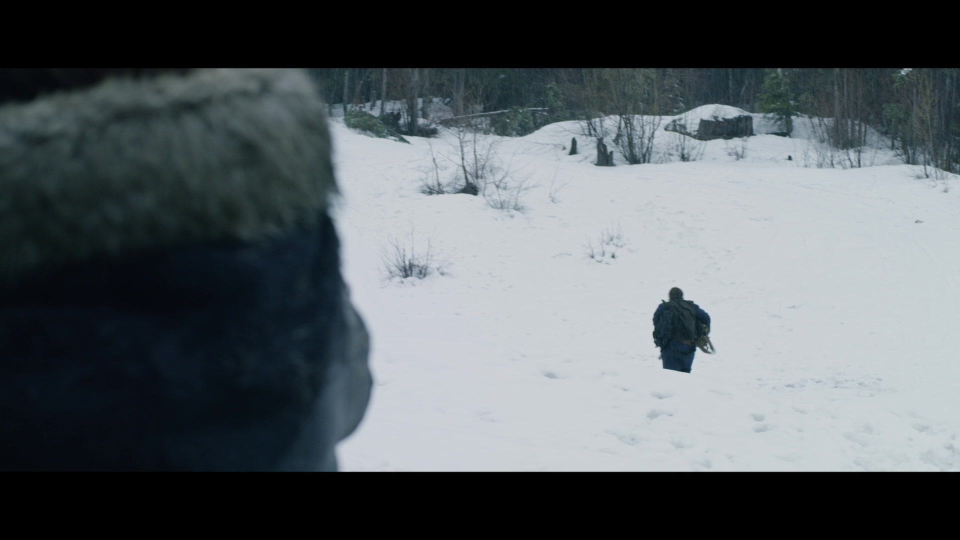 Daughter of the Wolf