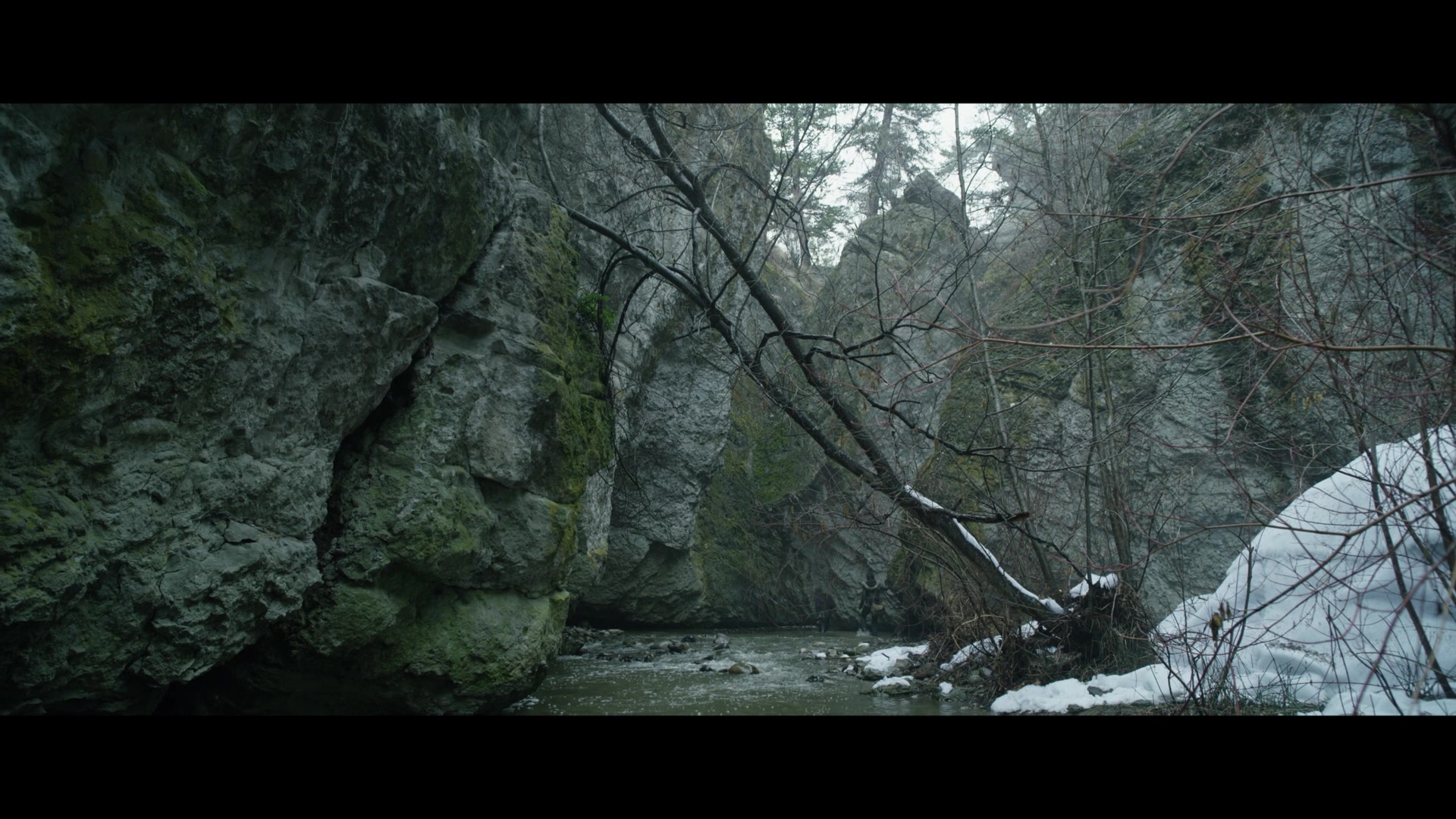 Daughter of the Wolf