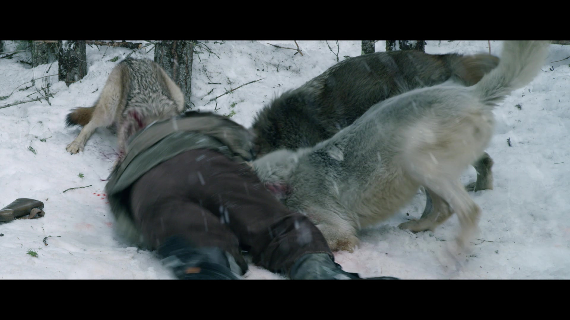 Daughter of the Wolf