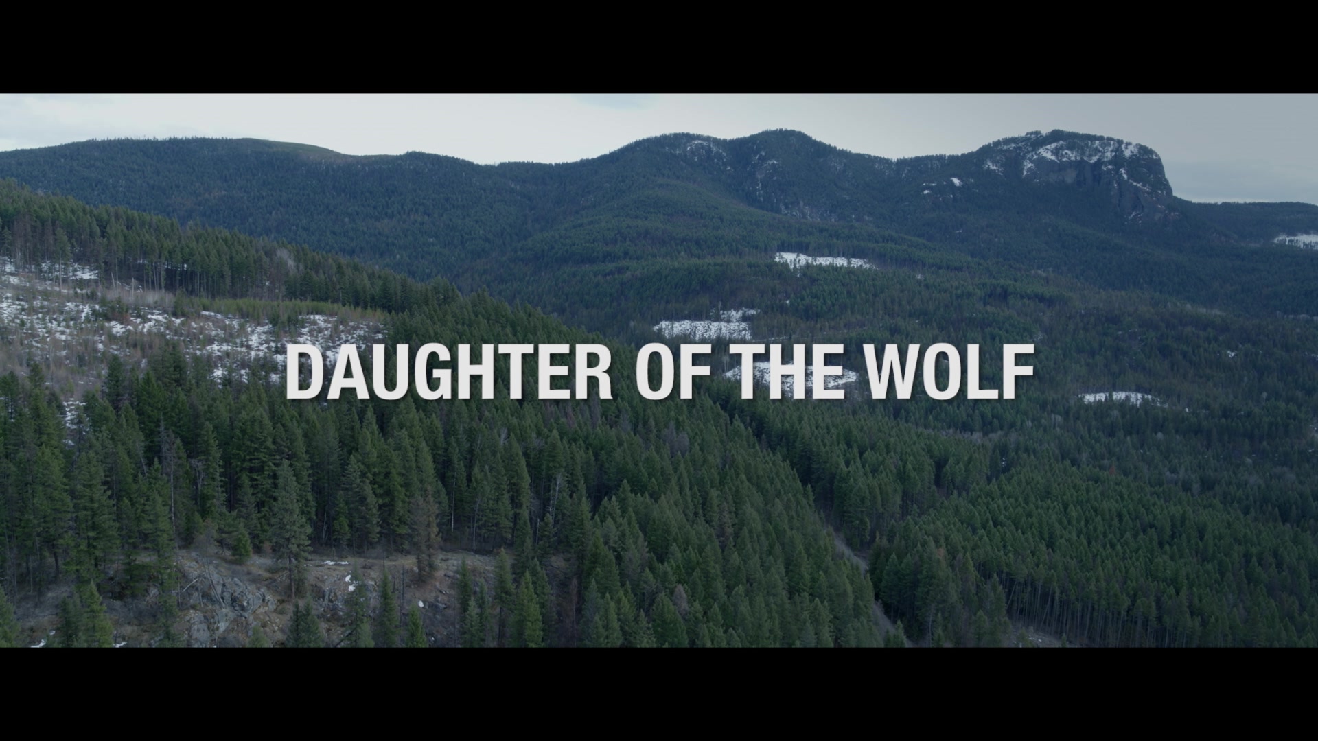Daughter of the Wolf