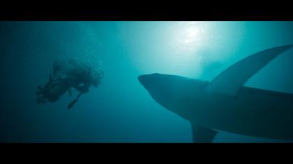 Deep Fear - Tauch um dein Leben!