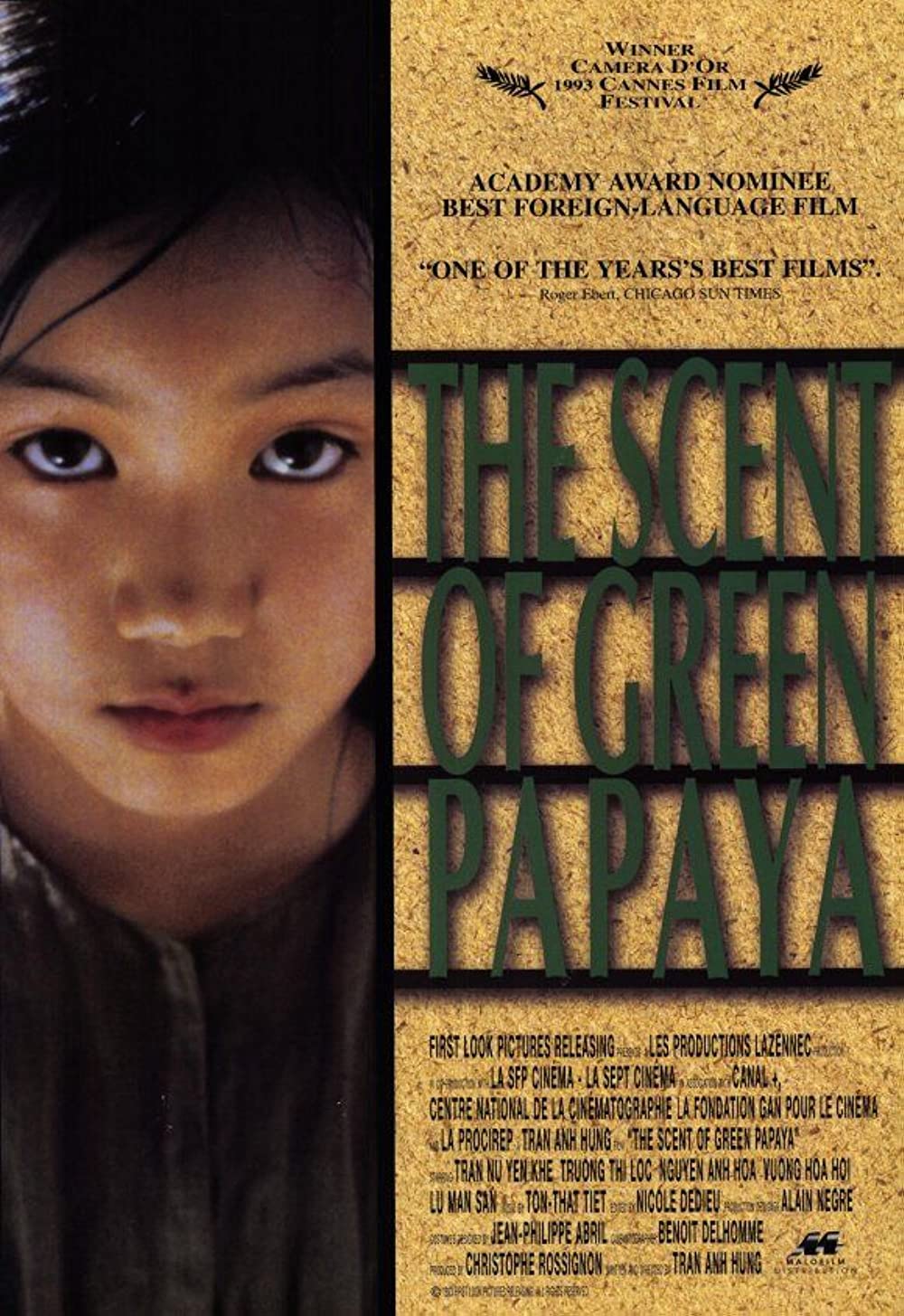 Filmbeschreibung zu Der Duft der gr?nen Papaya