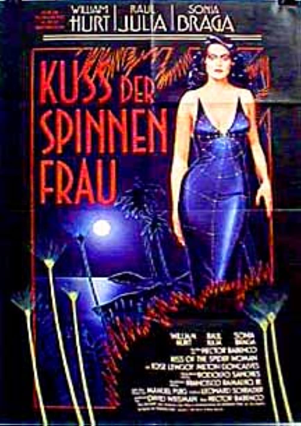 Filmbeschreibung zu Der Kuss der Spinnenfrau - El beso de la mujer arana