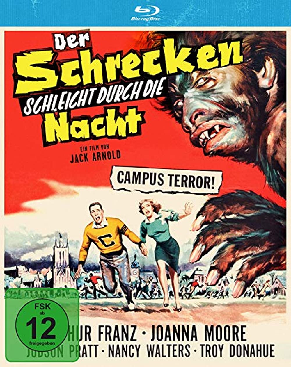Filmbeschreibung zu Der Schrecken schleicht durch die Nacht