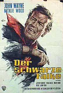 Der Schwarze Falke