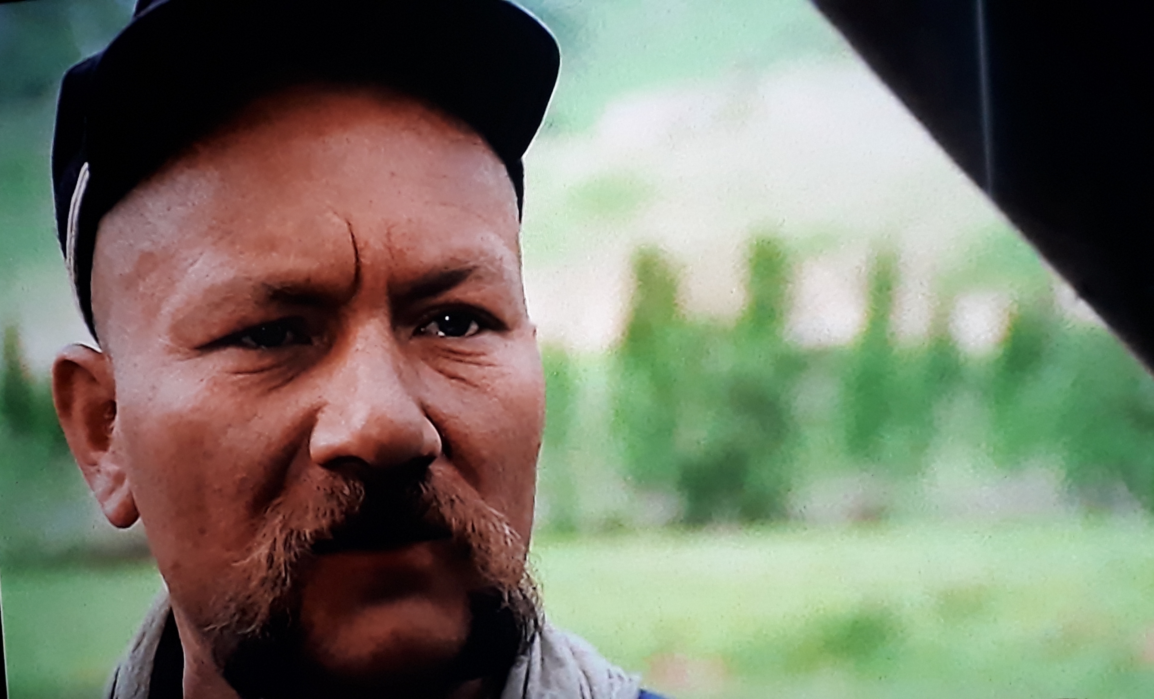 Der Scout