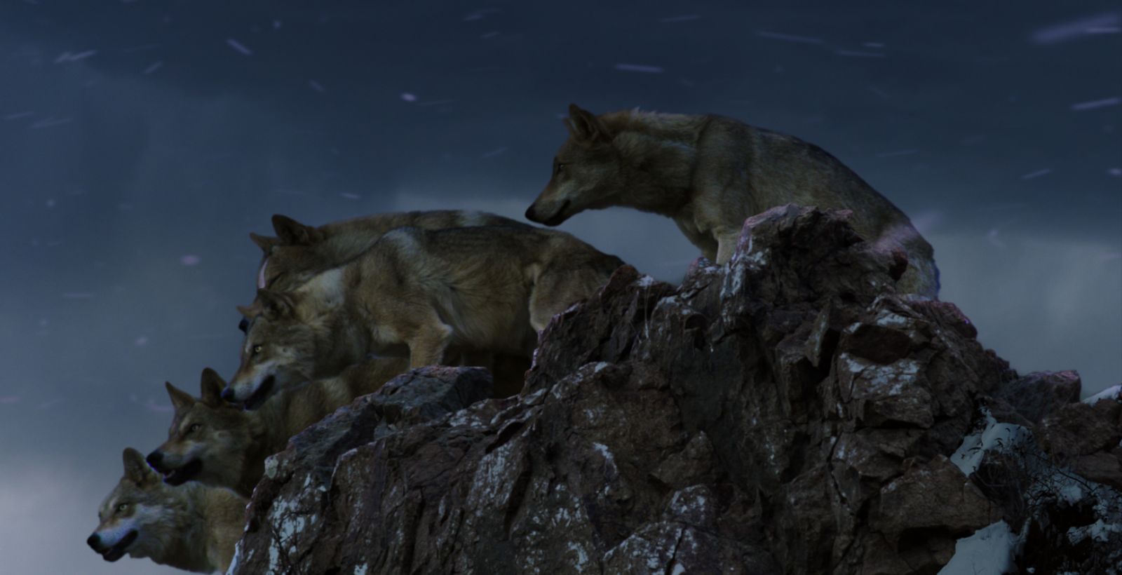 Der letzte Wolf