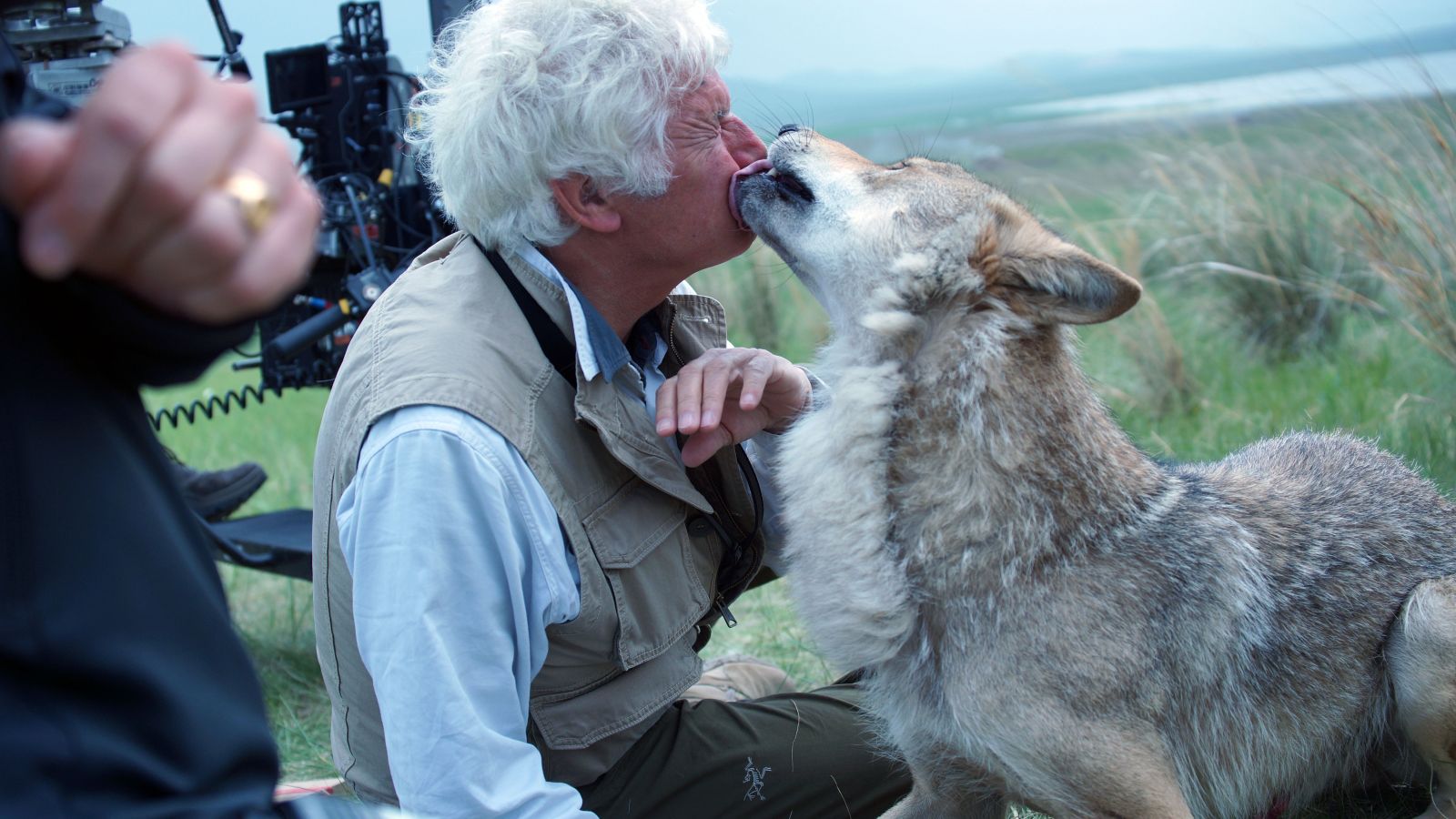 Der letzte Wolf