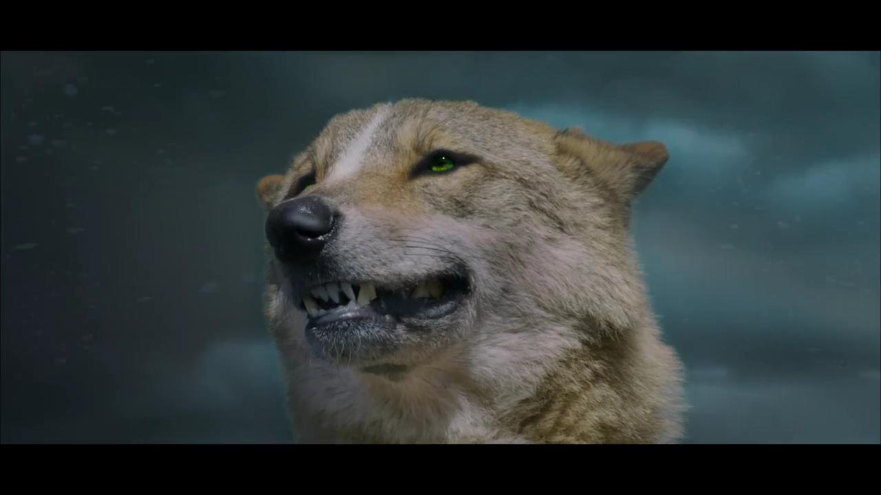 Der letzte Wolf