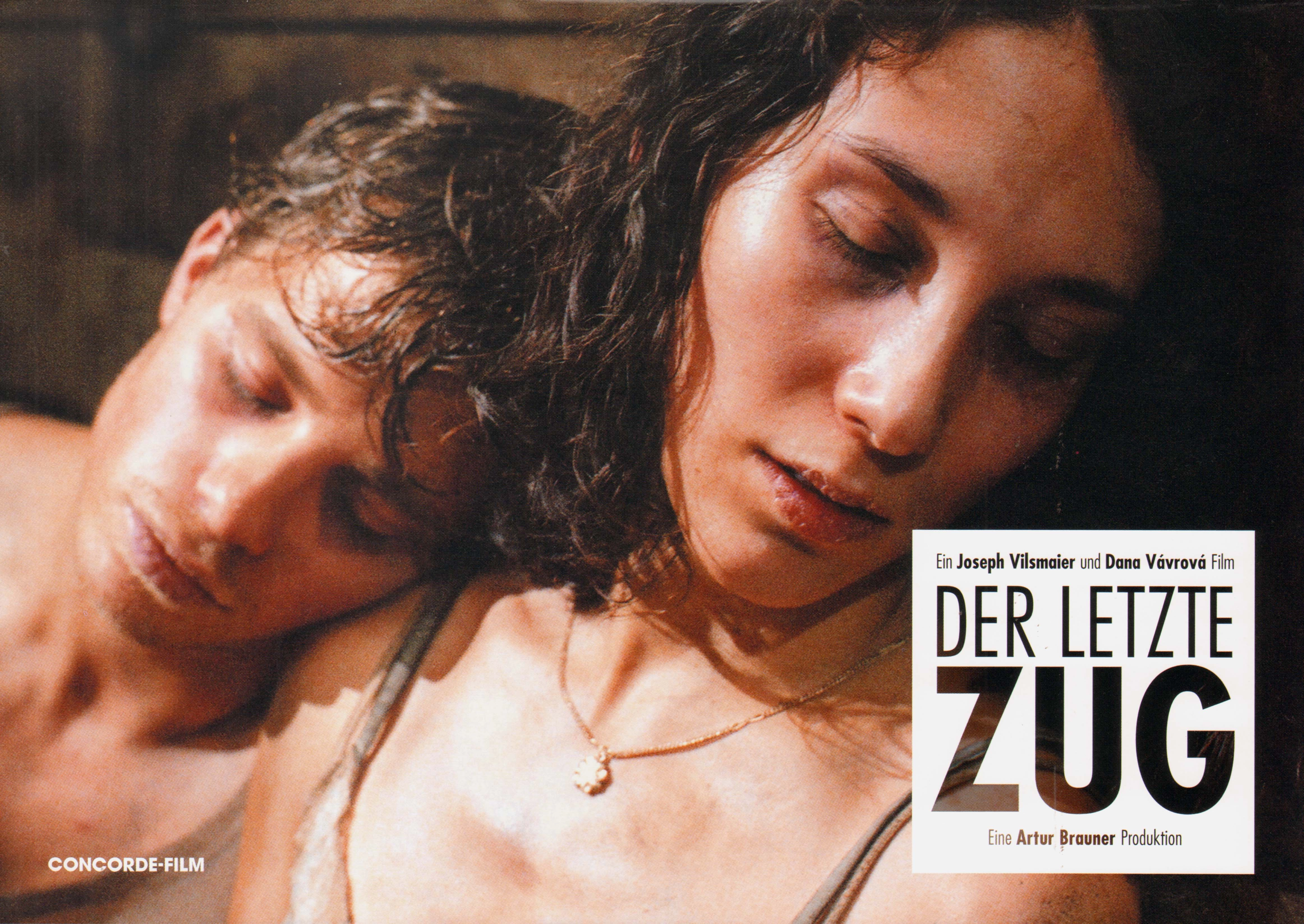 Der letzte Zug