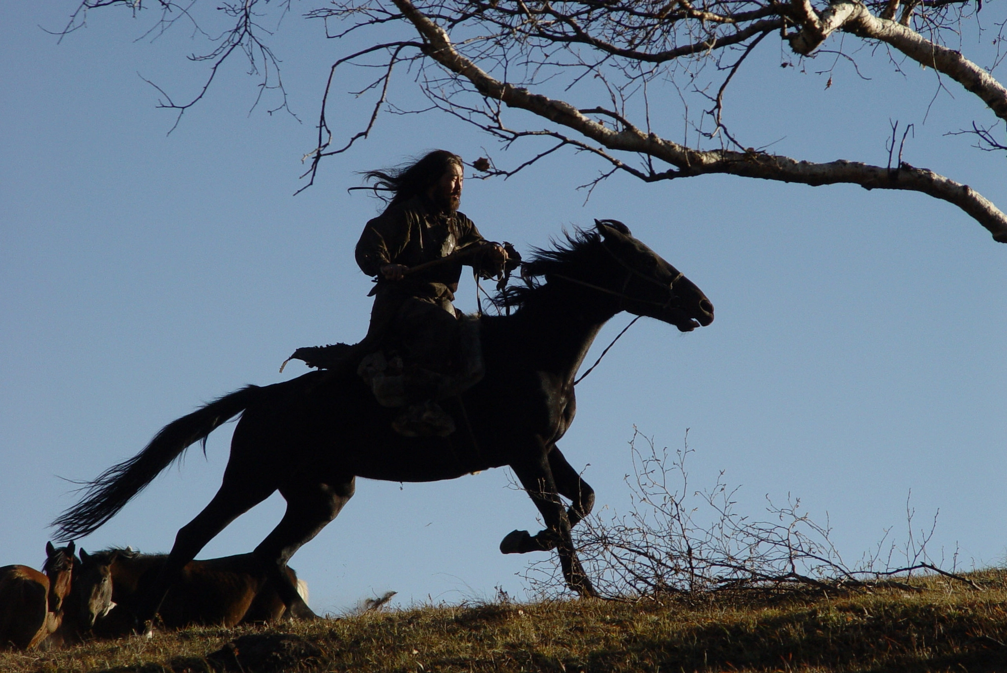 Der Mongole