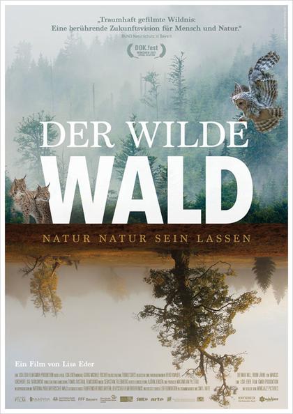 Der wilde Wald - Natur sein lassen