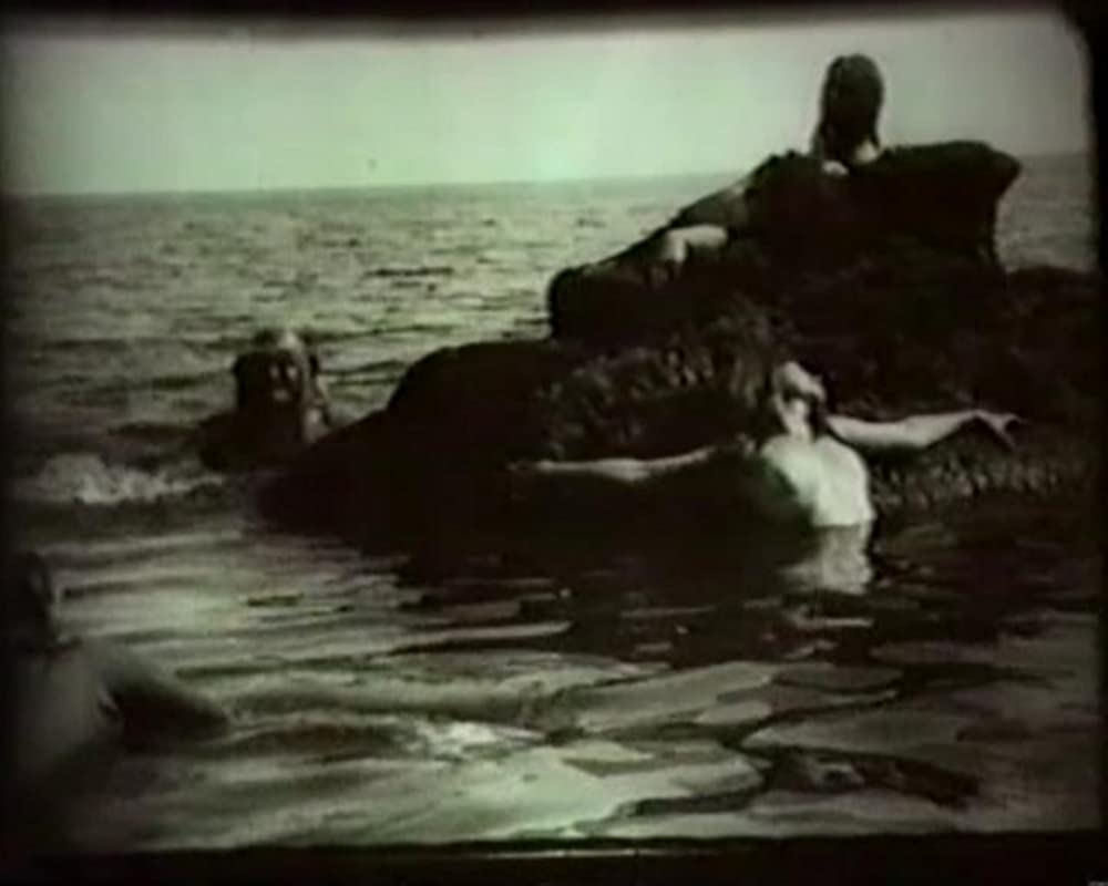 Filmbeschreibung zu Die Insel der Seligen