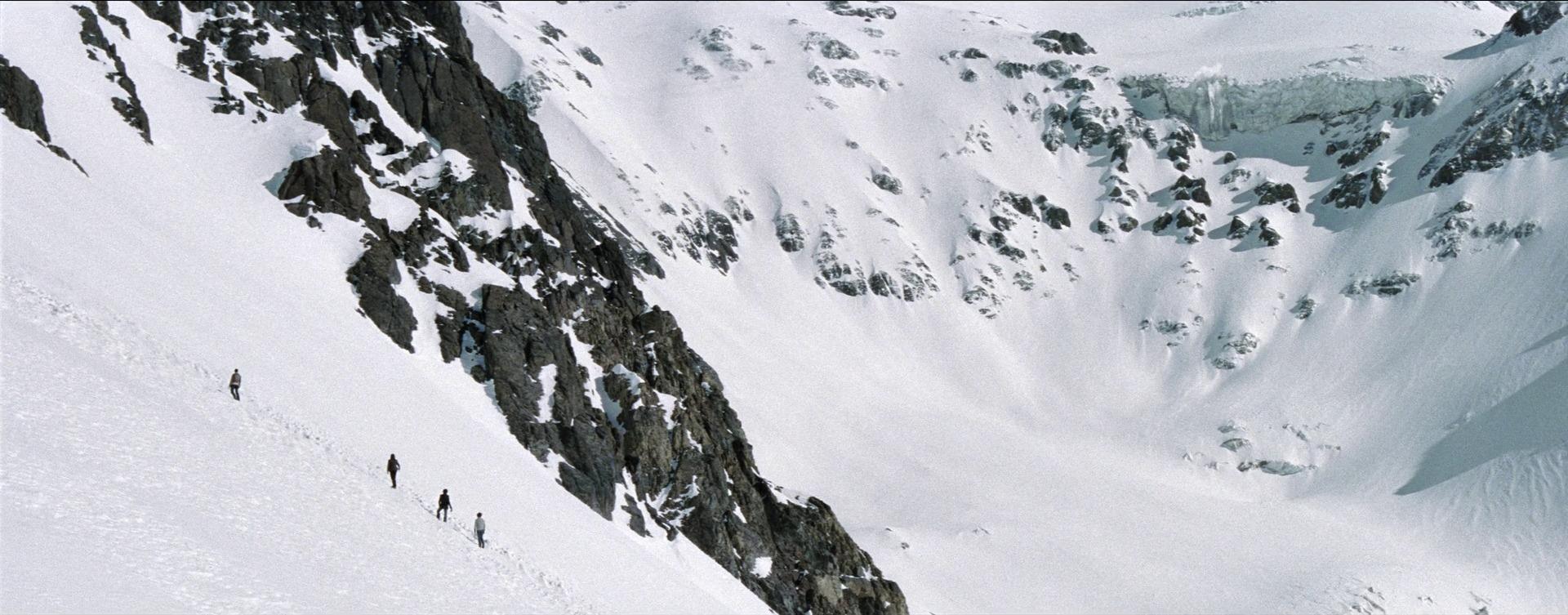 Die Schneegesellschaft