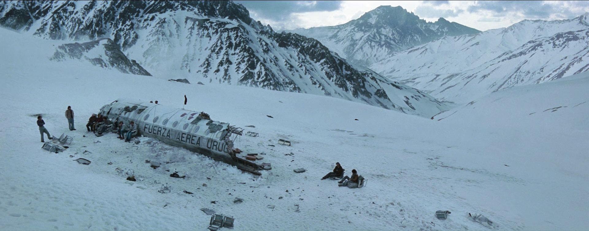 Die Schneegesellschaft