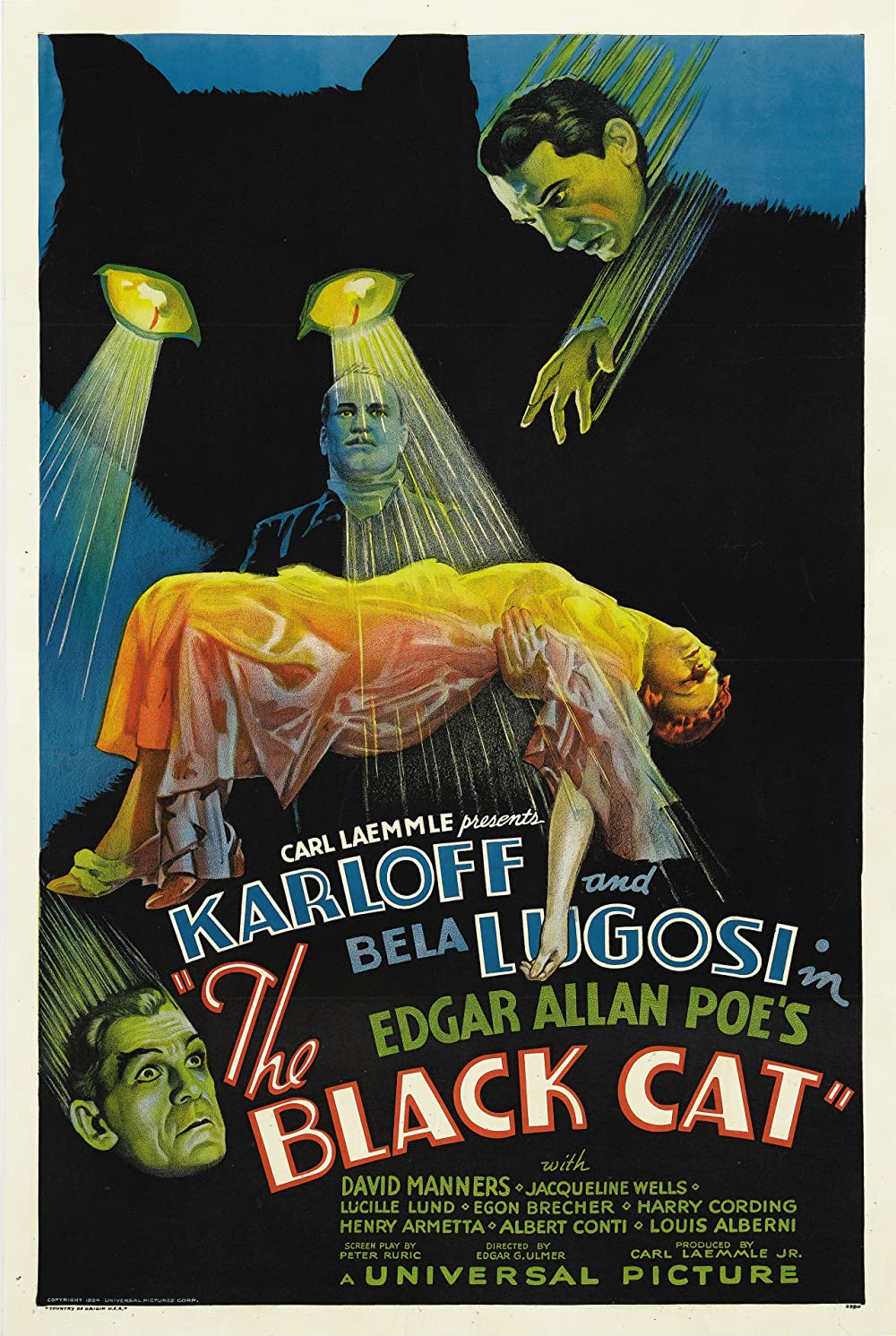 Filmbeschreibung zu Die schwarze Katze