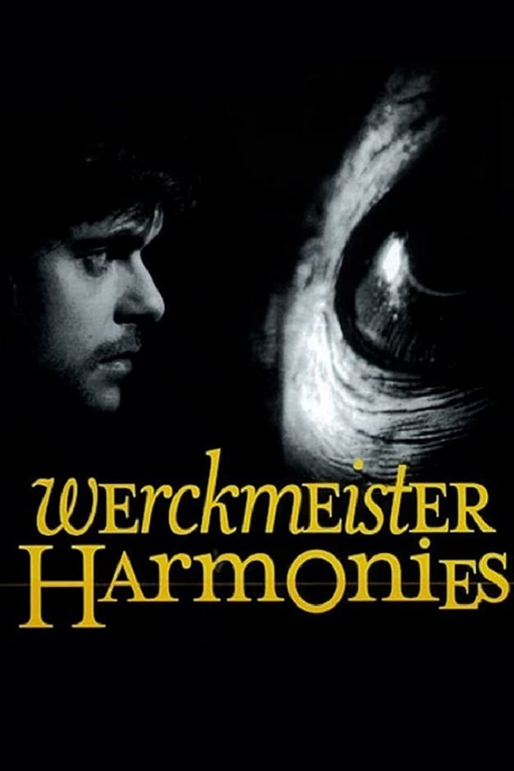 Filmbeschreibung zu Werckmeister harm?ni?k