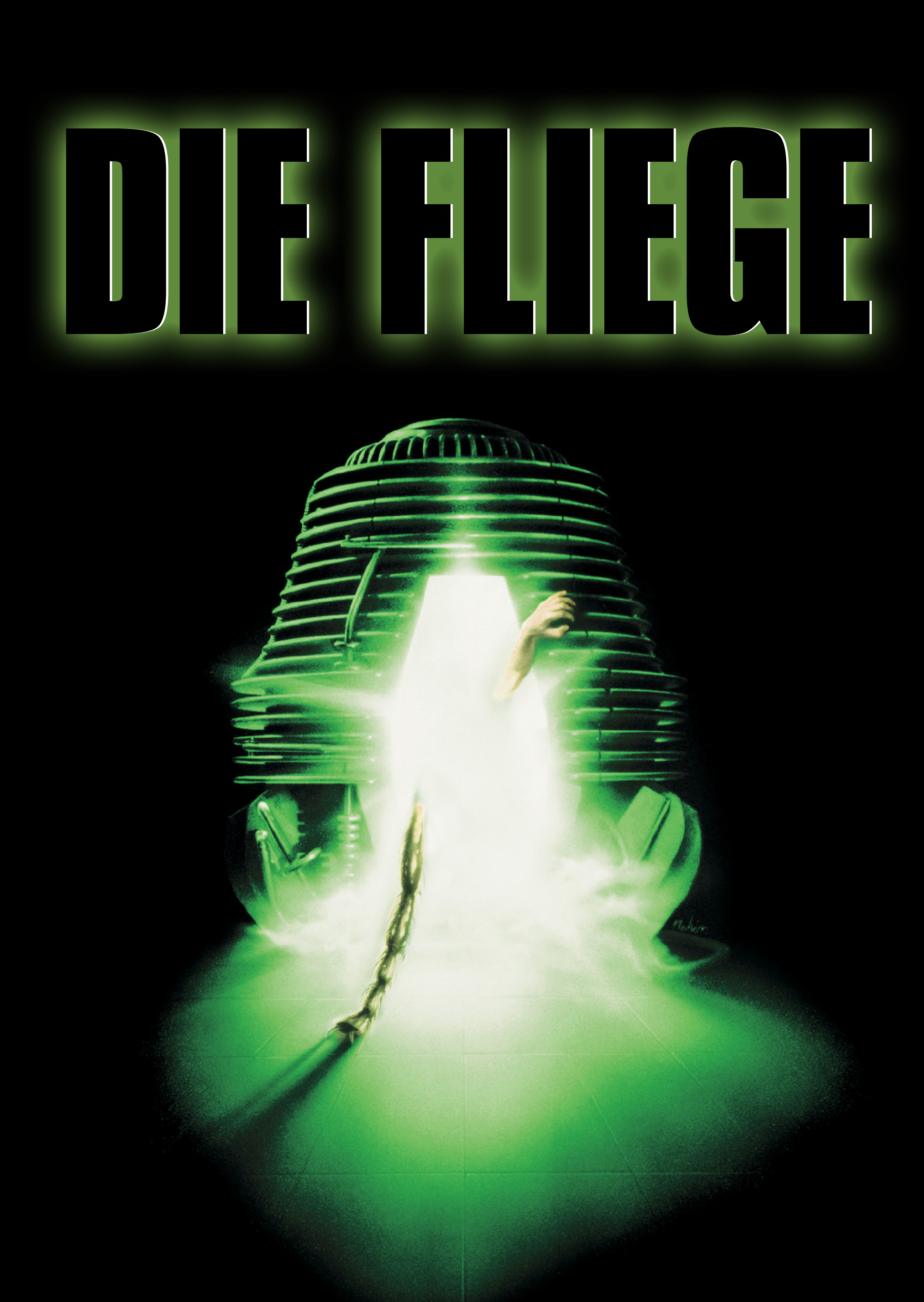 Die Fliege