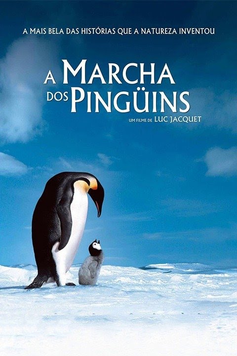 Die Reise der Pinguine