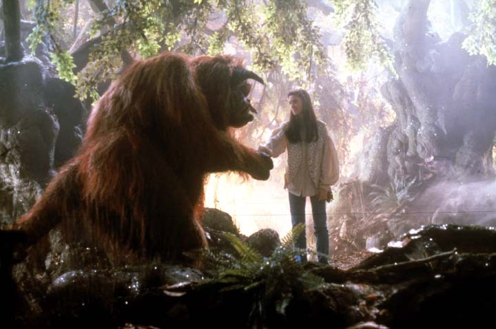 Die Reise ins Labyrinth
