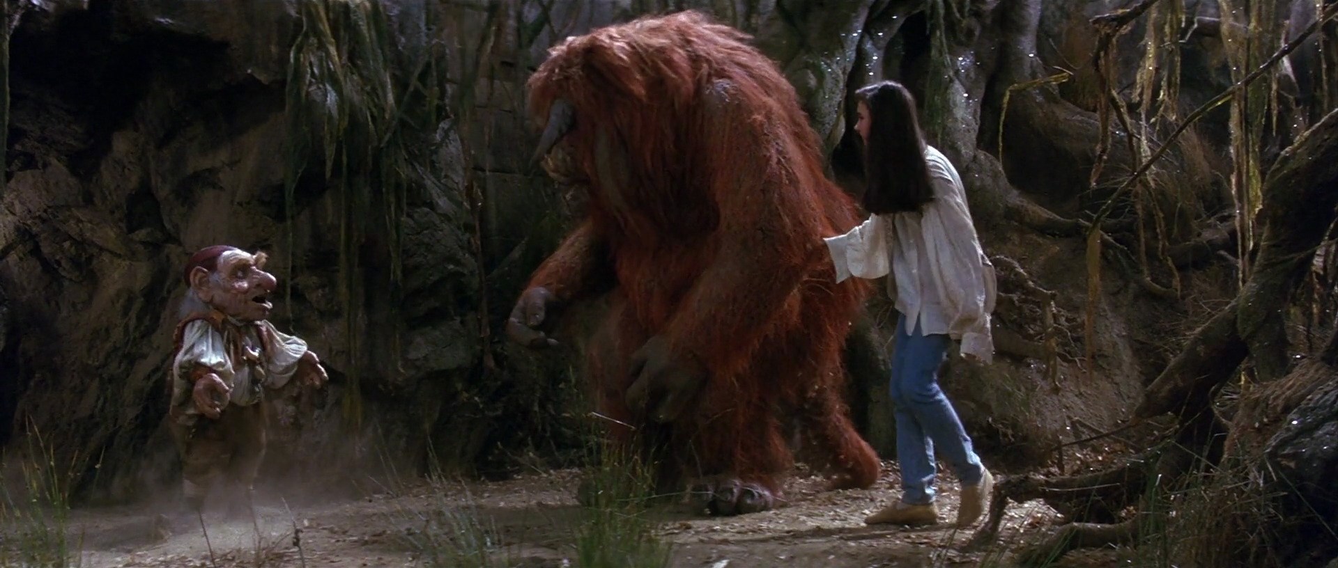Die Reise ins Labyrinth