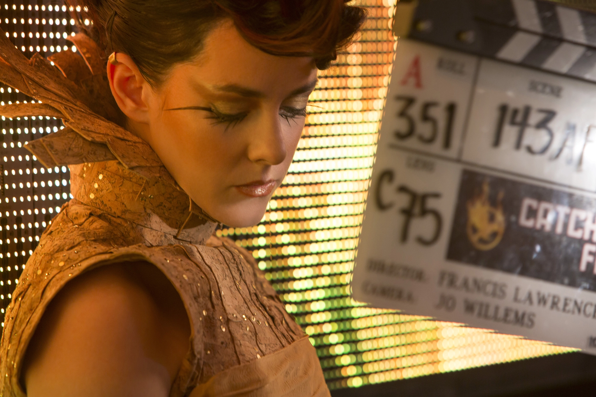 Die Tribute von Panem - Catching Fire