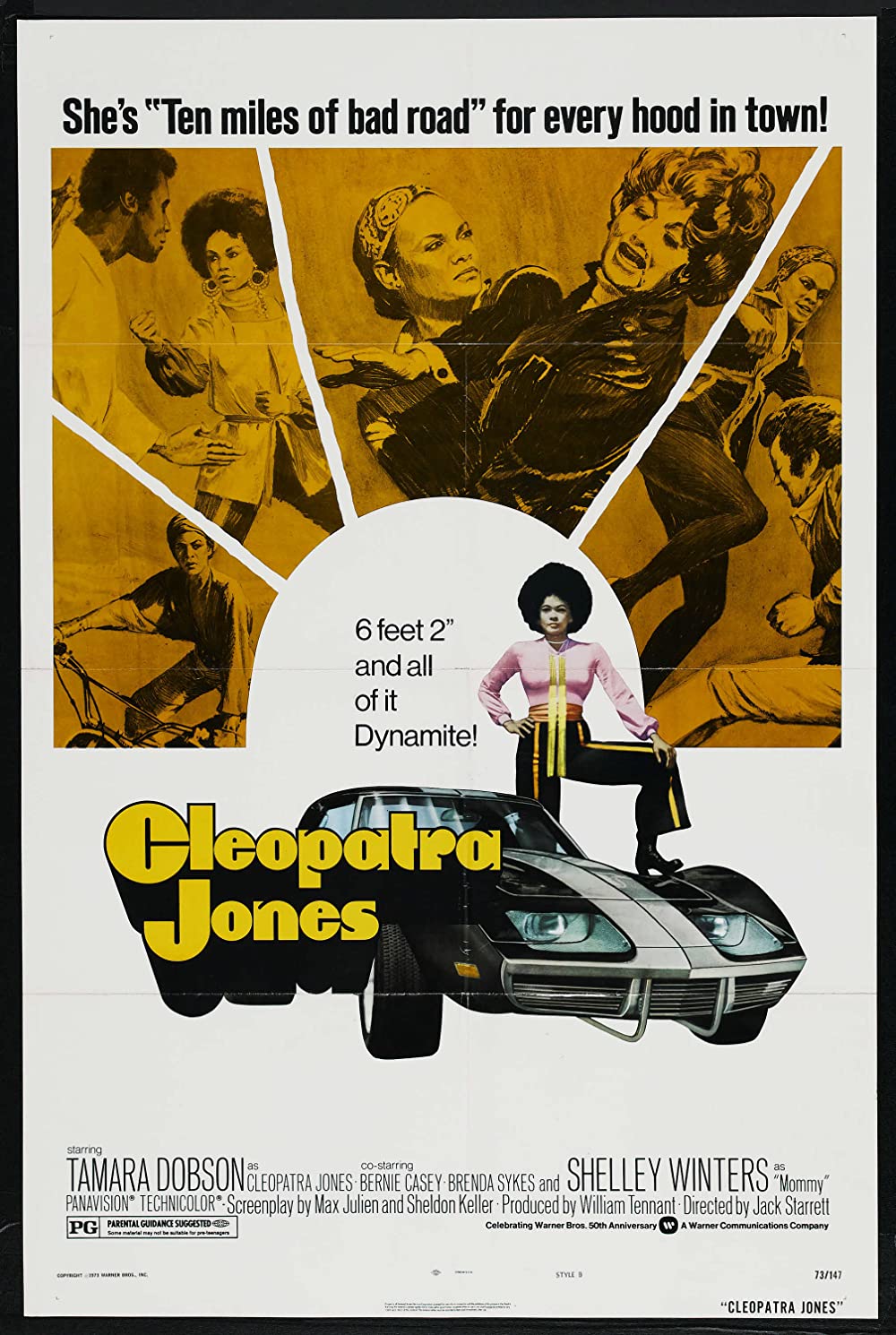 Filmbeschreibung zu Ein Fall f?r Cleopatra Jones
