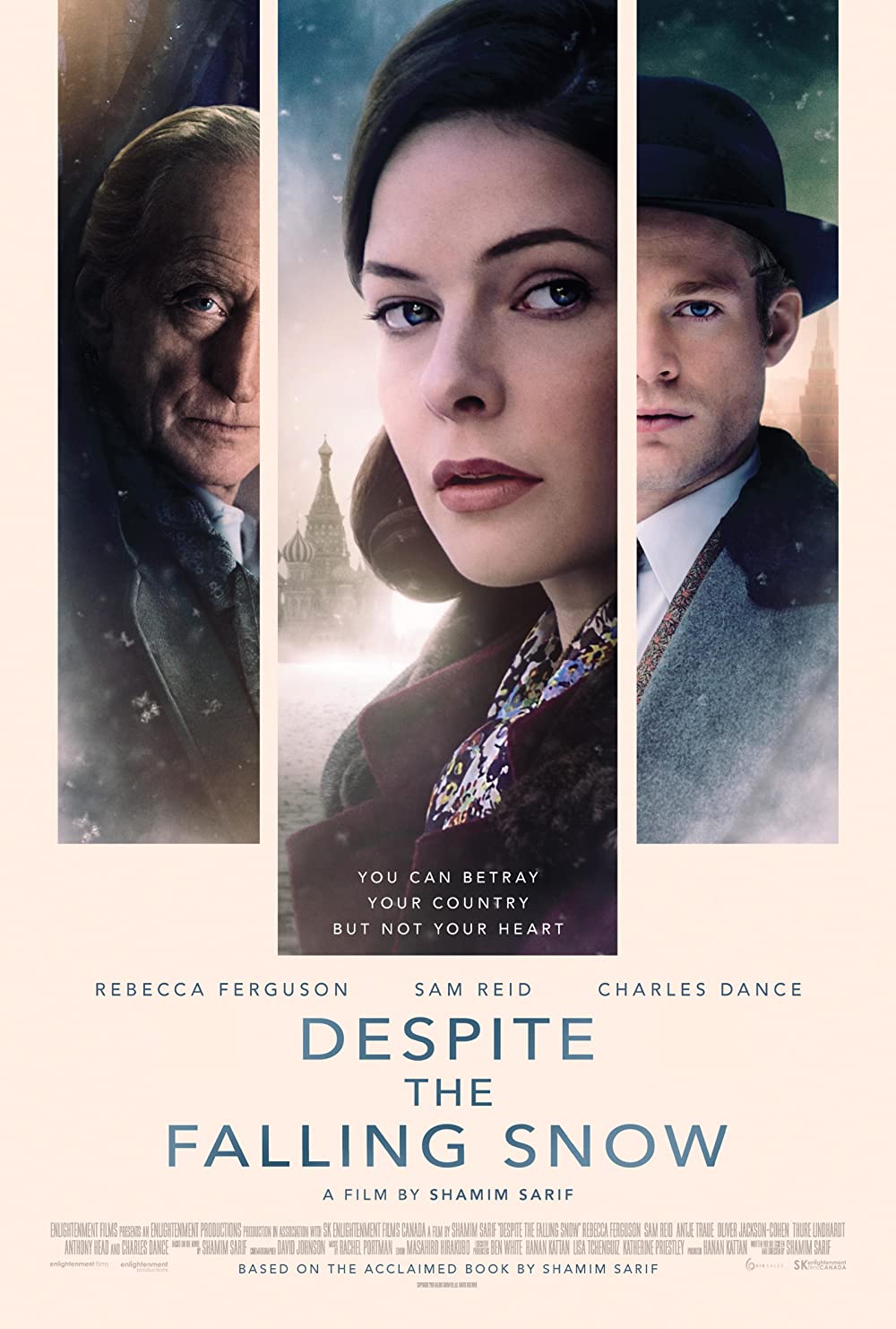 Filmbeschreibung zu Despite the Falling Snow