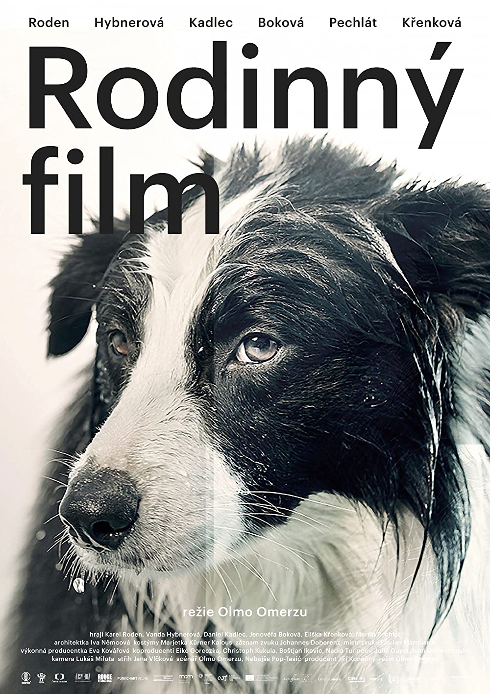 Familienfilm