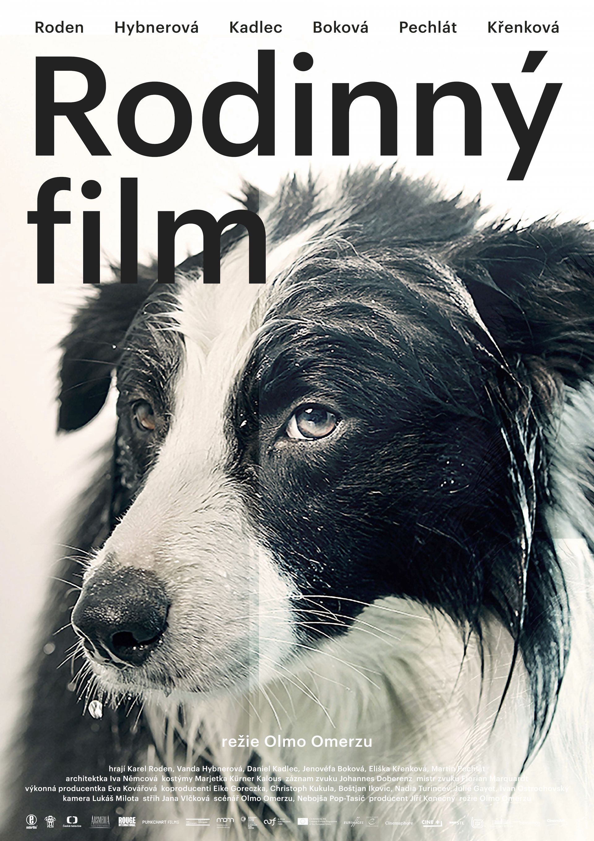 Familienfilm