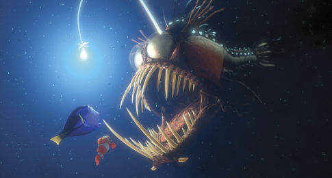 Findet Nemo