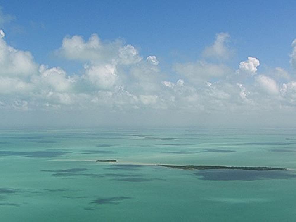 Filmbeschreibung zu Florida - Sunshine State