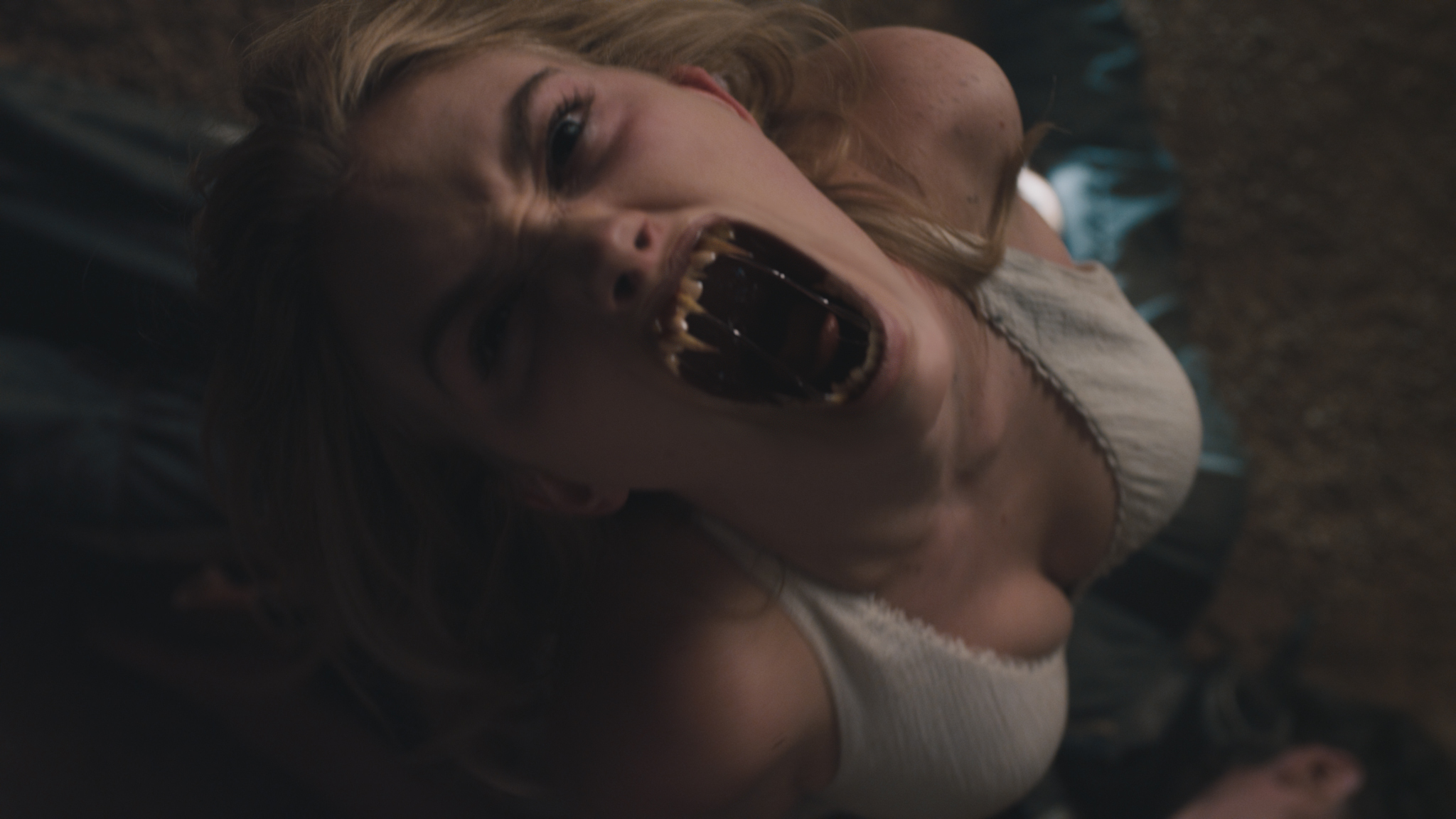 Fright Night