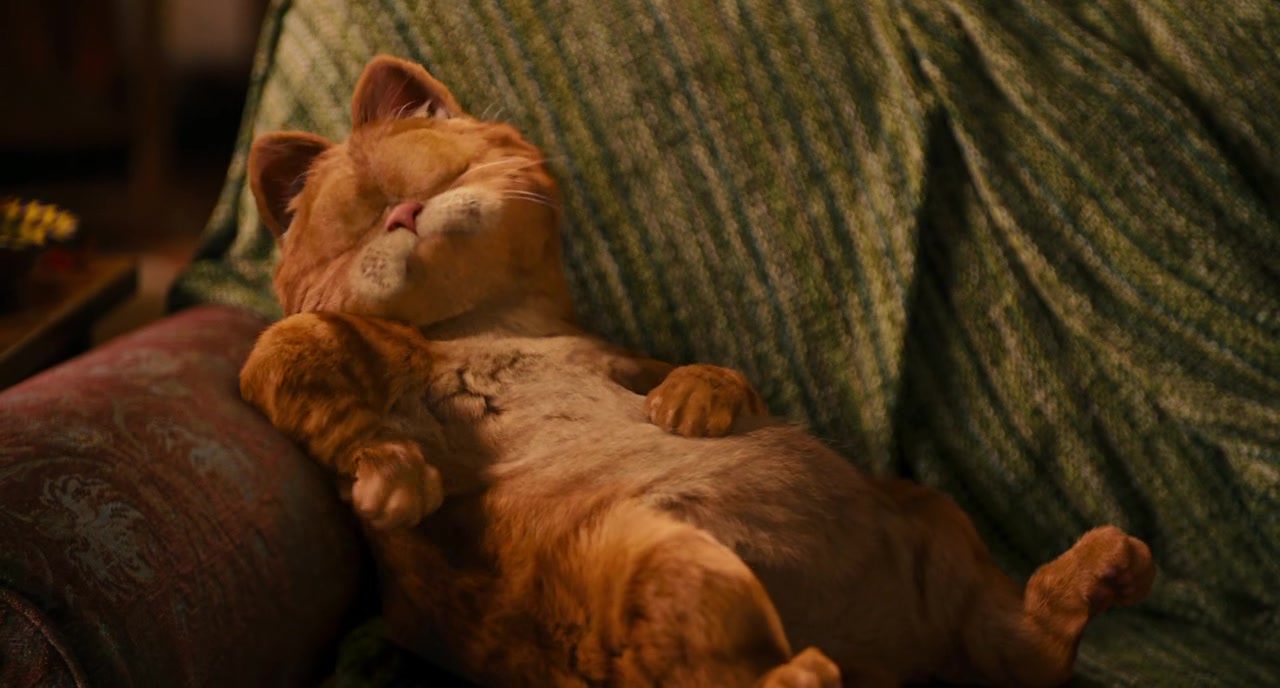 Garfield 2